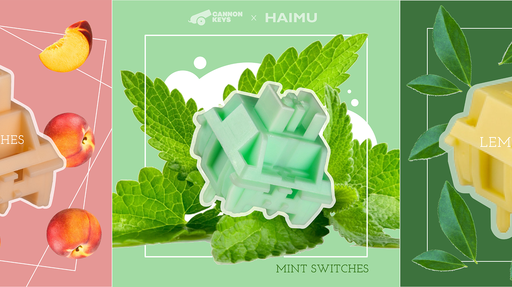 CK x Haimu Pastel Switch Series